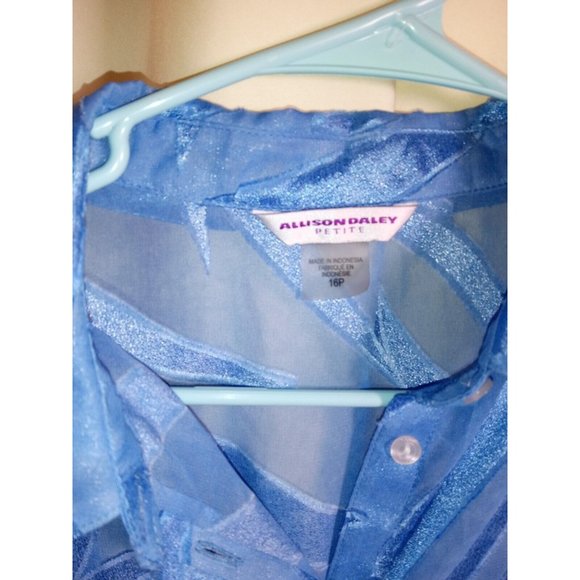 Allison Daley Petite Size 16P Blue Sheer Collared Button-Down Blouse -SHEER - Picture 4 of 5